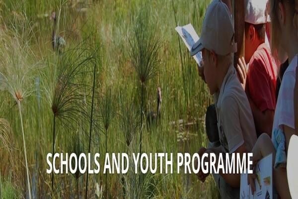 Wildlife Environment Society Of SA
