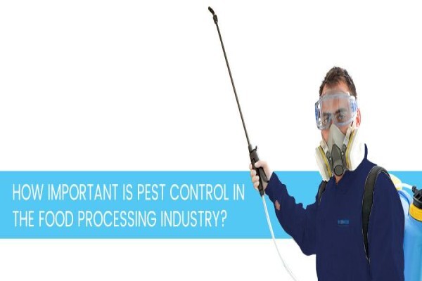 Ecofirst