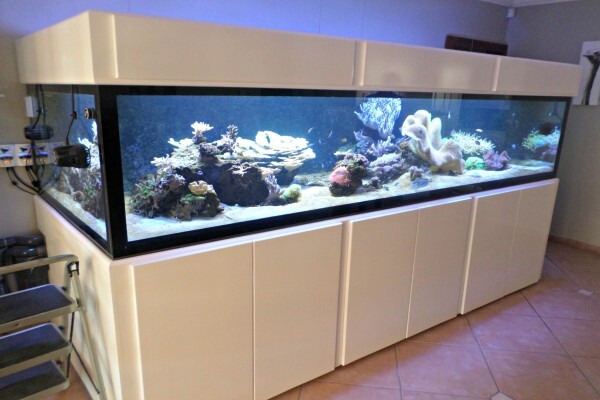 Cupboard Consultancy The
