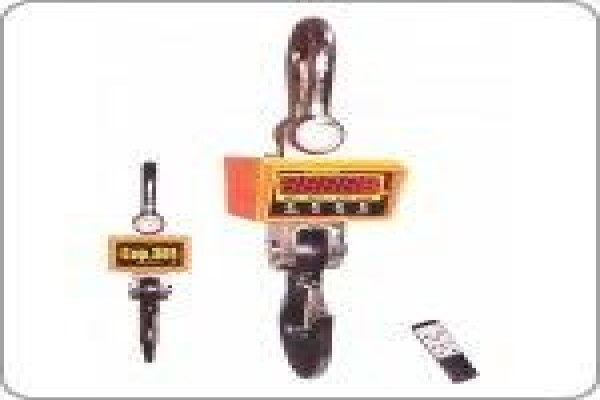Mass Measuring Systems (Pty) Ltd