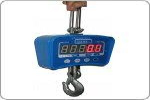 Masskot Scale
