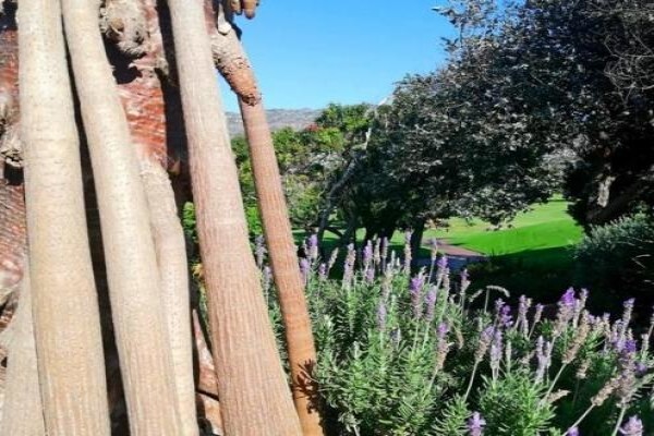 Clovelly Country Club:Golf Pro