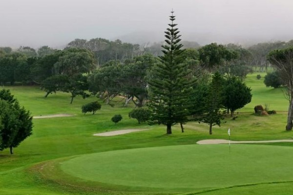 Clovelly Country Club:Golf Pro