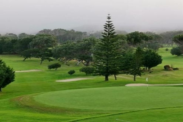 Clovelly Country Club:Golf Pro