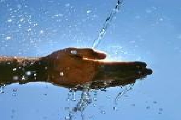 AquaSolar
