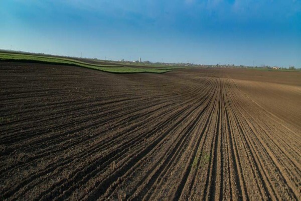 Tillage G C CC