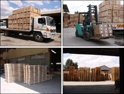 Elite Pallet Services SA (Pty) Ltd