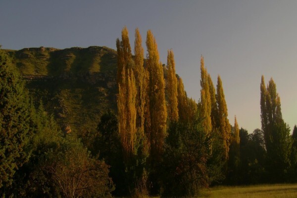 Eddies Self Catering /B&B