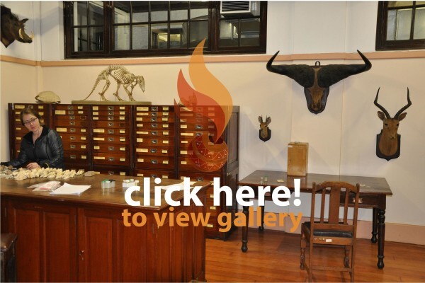 Ditsong Pioneer Museum