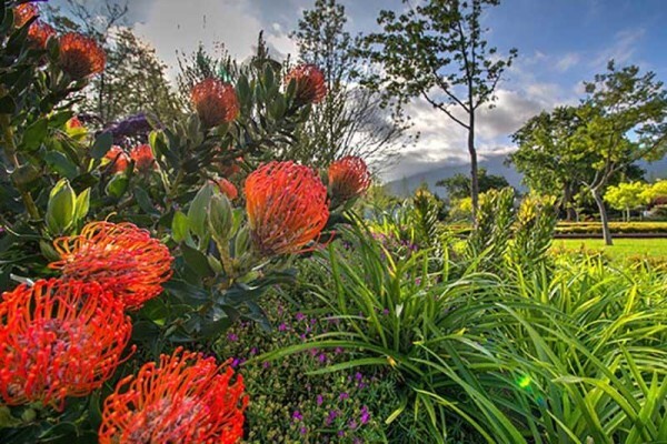 Lourensford Estate:C W P Wine