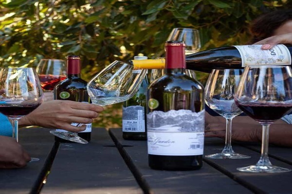 Lourensford Estate:Winery
