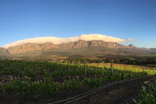 Lourensford Estate:Winery