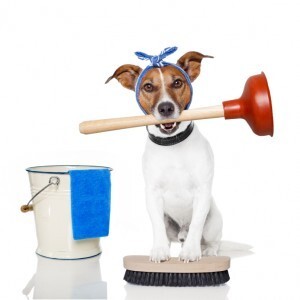 Famous Cleaning Services