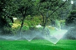 AE Irrigation