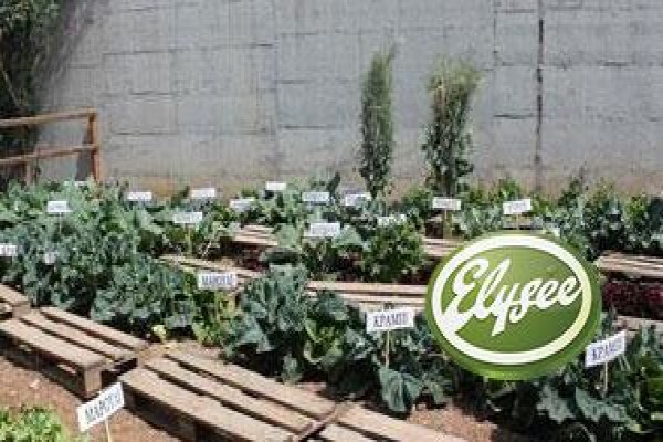 Turf-Ag Products