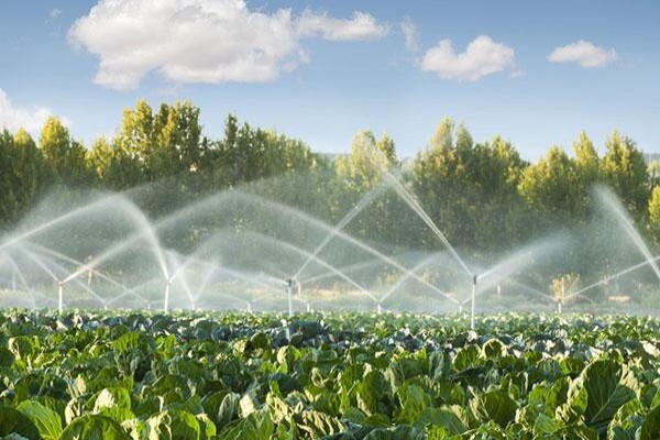 Turf-Ag Products