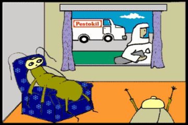 Pestokil