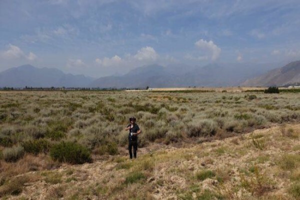 Kirstenbosch National Botanical Garden:Gatehouse 1