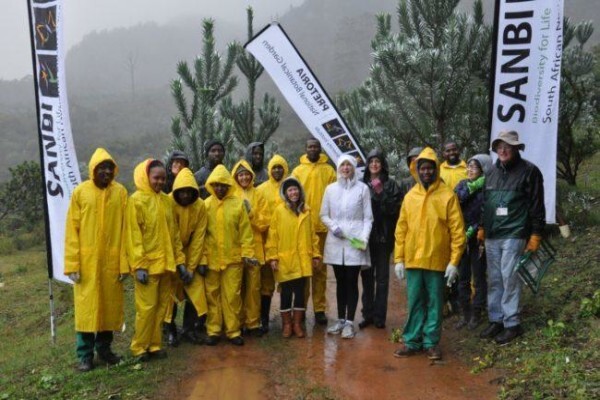 Kirstenbosch National Botanical Garden:Landscape Design Centre