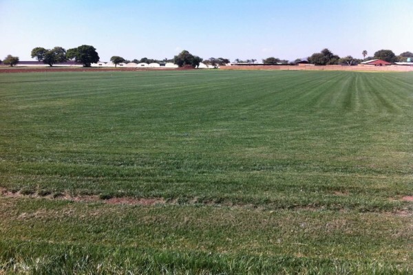 Grass Factory & Eco Organics