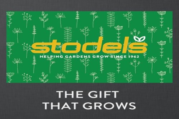 Stodels Nurseries (Pty) Ltd:Head Office:Accounts