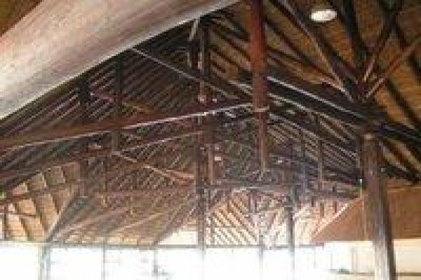 Die Grashut Thatching Poles Lodges