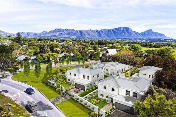Golden Oak Removals