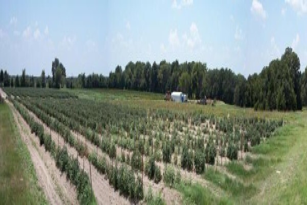 Umtiza Farmer's Corp