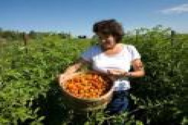 Umtiza Farmer's Corp