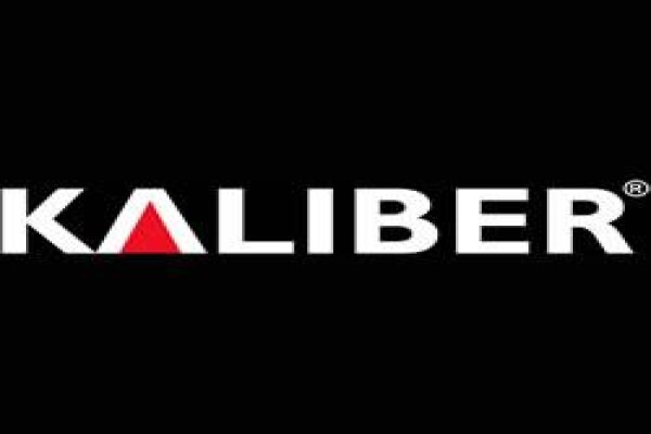 Halsted & Co (Pty) Ltd