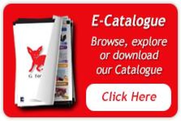 G Fox & Co (Pty) Ltd