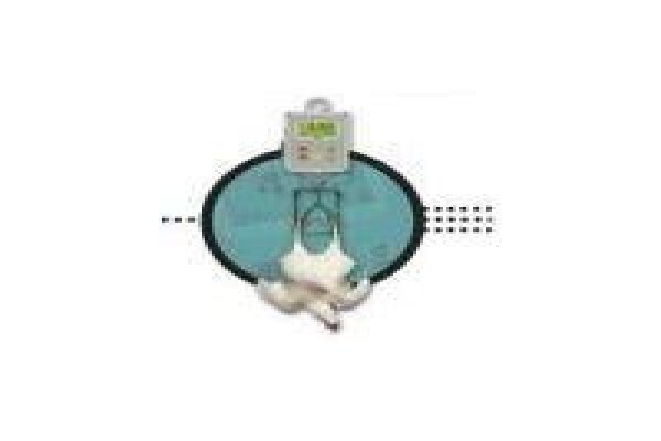 Clover Scales (Pty) Ltd