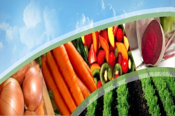 Protea Market Agents (Pty) Ltd