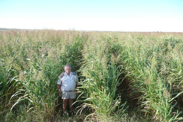 Agricol (Pty) Ltd