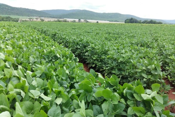 Agricol (Pty) Ltd