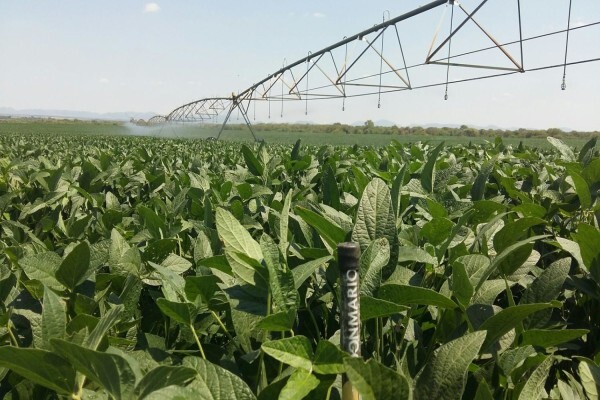 Agricol (Pty) Ltd