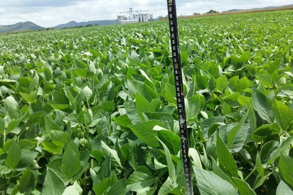 Agricol (Pty) Ltd