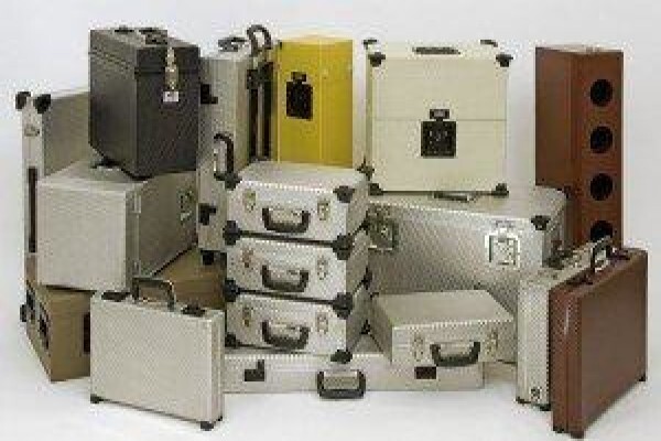 Alpine Cases