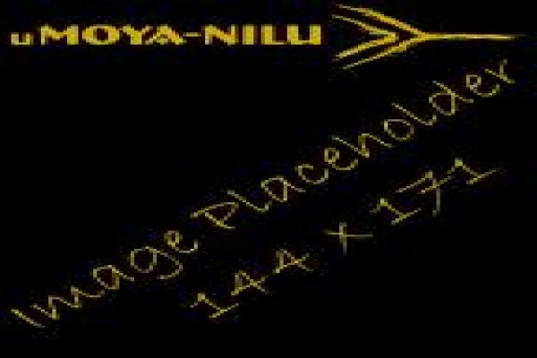 Umoya-Nilu Consulting