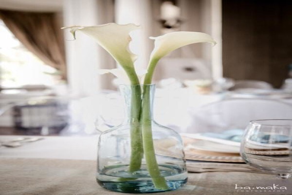 Shubone Events & Projects Cc