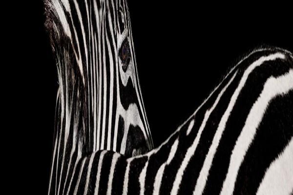 Investec Property Group Ltd:Maintenance Help Desk ShareCall