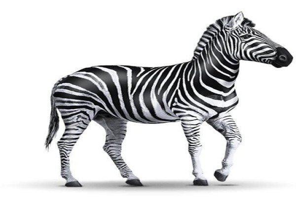 Investec Property Group Ltd:Maintenance Help Desk ShareCall