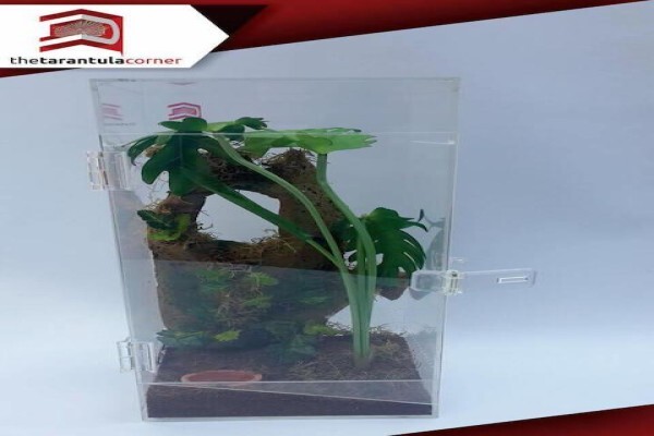 Plastic World
