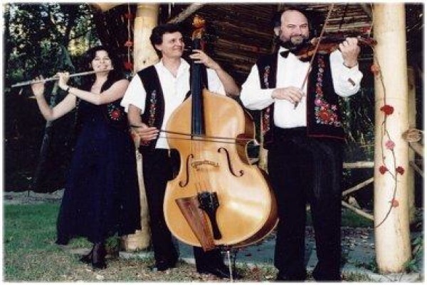Hungarian Trio Romanitic Strings
