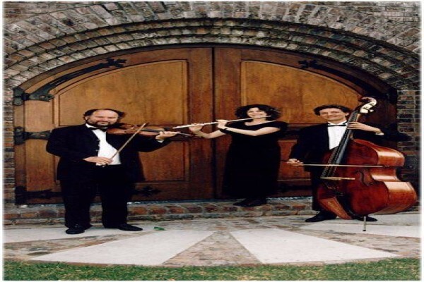 Hungarian Trio Romanitic Strings
