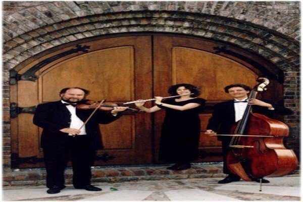 Hungarian Trio Romanitic Strings