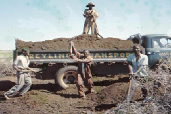 Greyling's Transport