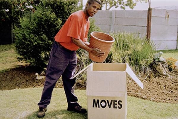 Massyn Moves