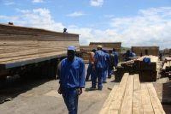 All Shape Roofing