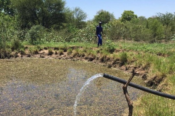 Afri-Water 2020